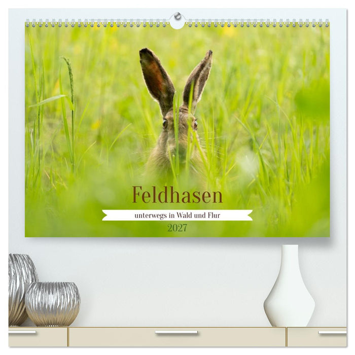 Feldhasen unterwegs in Wald und Flur (CALVENDO Premium Wandkalender 2027)