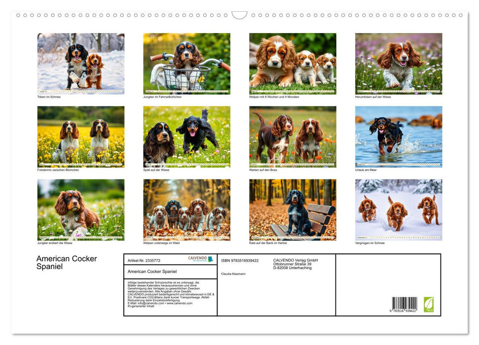 American Cocker Spaniel (CALVENDO Wandkalender 2027)