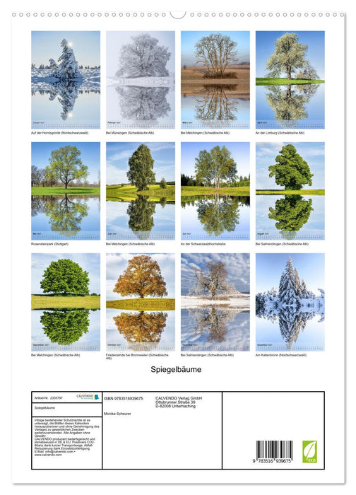 Spiegelbäume (CALVENDO Premium Wandkalender 2027)