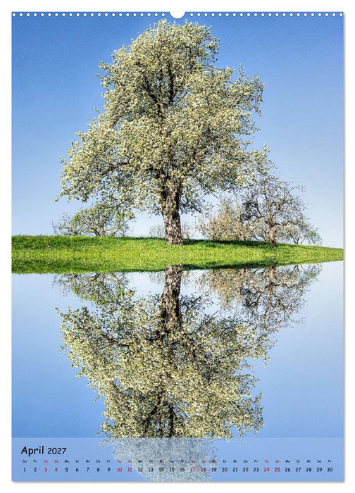 Spiegelbäume (CALVENDO Premium Wandkalender 2027)