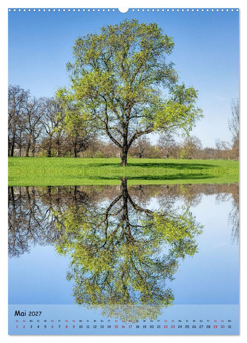 Spiegelbäume (CALVENDO Premium Wandkalender 2027)