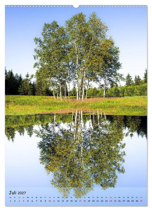 Spiegelbäume (CALVENDO Premium Wandkalender 2027)