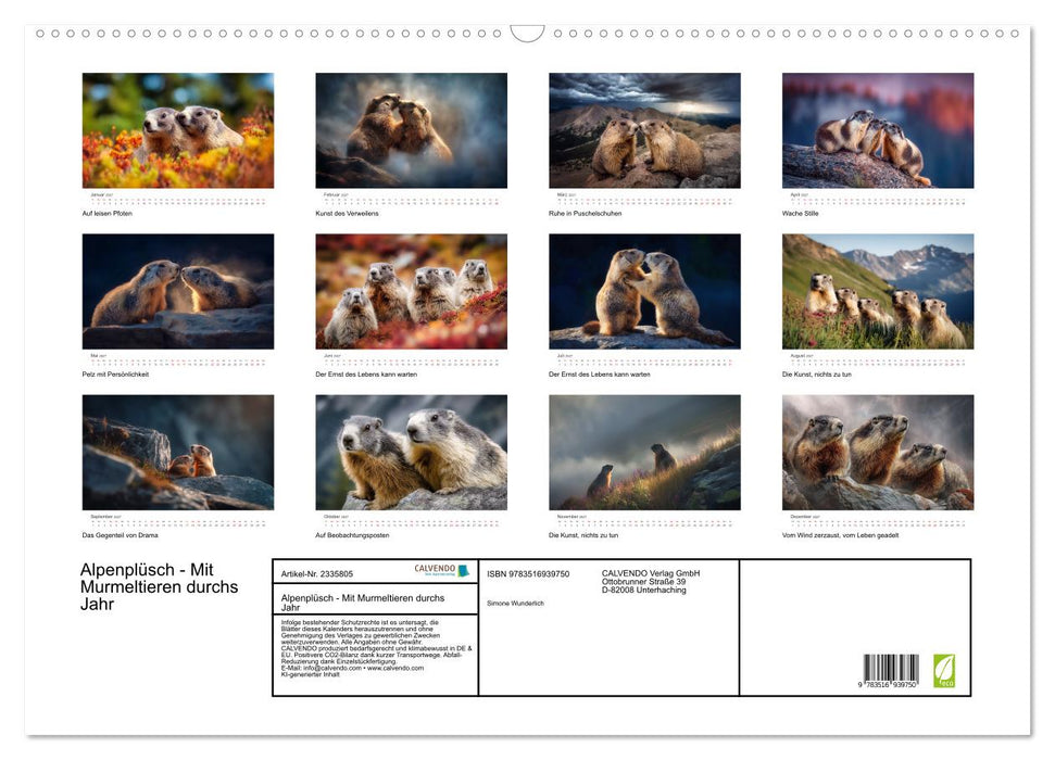 Alpenplüsch - Mit Murmeltieren durchs Jahr (CALVENDO Wandkalender 2027)