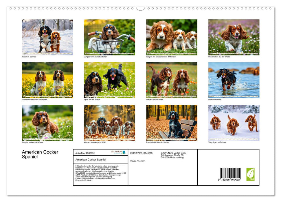 American Cocker Spaniel (CALVENDO Premium Wandkalender 2027)