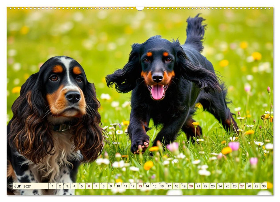American Cocker Spaniel (CALVENDO Premium Wandkalender 2027)