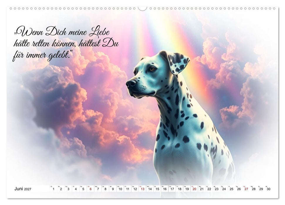 Hunde über der Regenbogenbrücke (CALVENDO Wandkalender 2027)