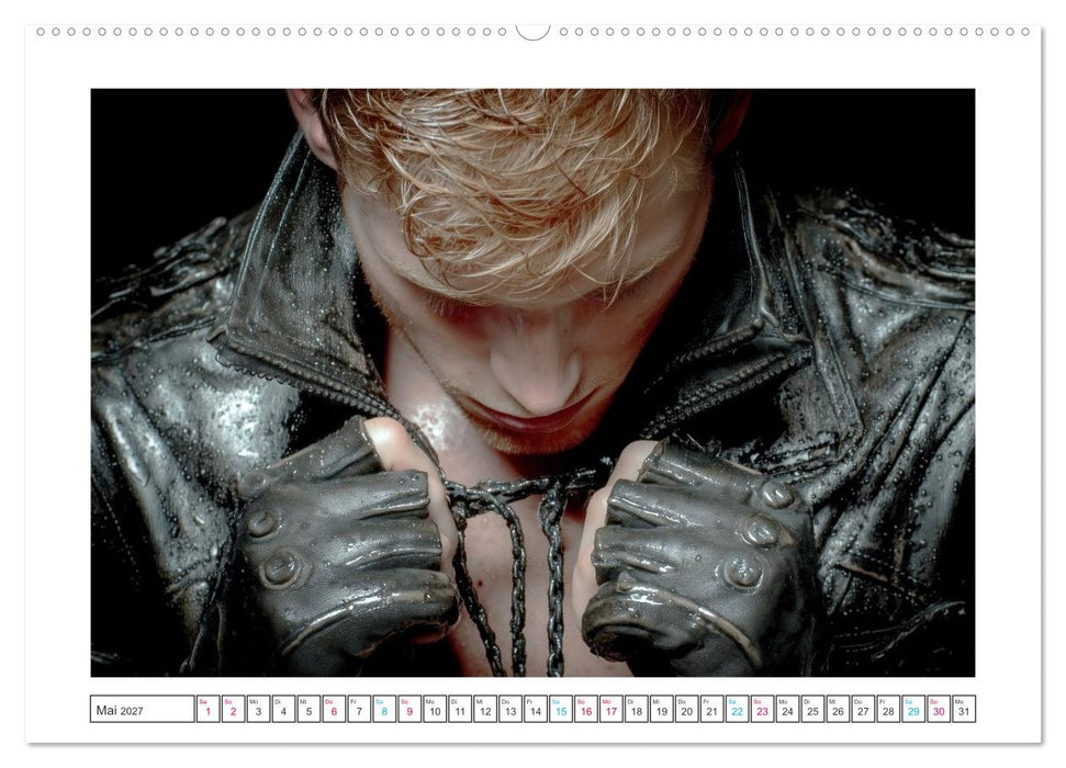 The Art of Desire (CALVENDO Premium Wandkalender 2027)