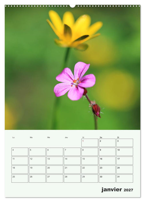 Les fleurs, éternelles éphemères (CALVENDO Calendrier mensuel 2027)