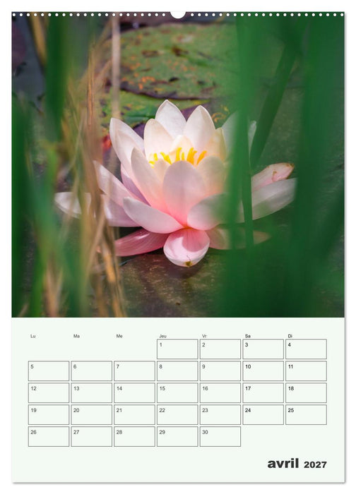 Les fleurs, éternelles éphemères (CALVENDO Calendrier mensuel 2027)