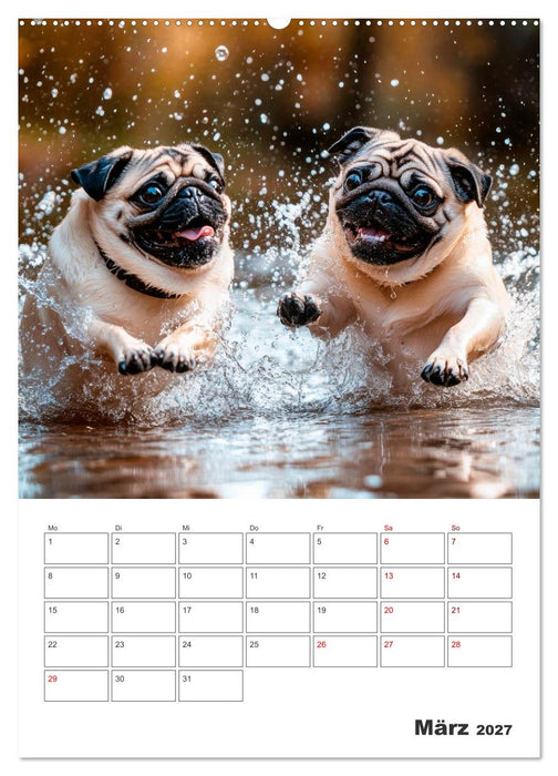 MOPS Pfotenglück in Faltenform (CALVENDO Wandkalender 2027)