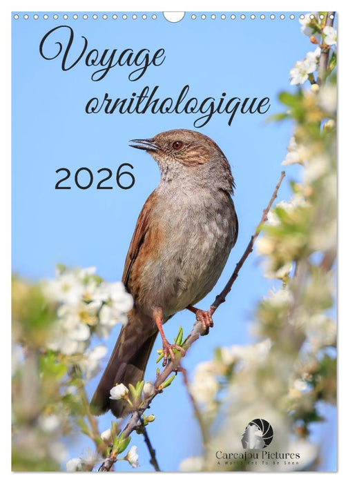 Voyage ornithologique (CALVENDO Calendrier mensuel 2027)