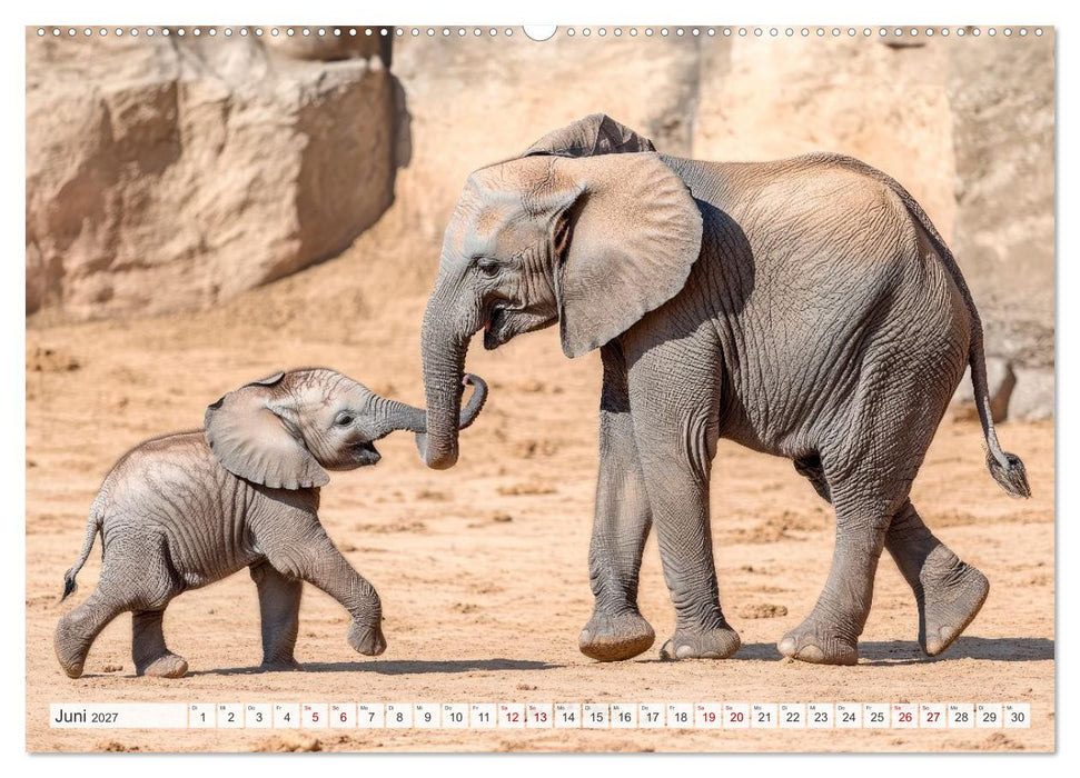Mütterherzen im wilden Tierreich (CALVENDO Premium Wandkalender 2027)