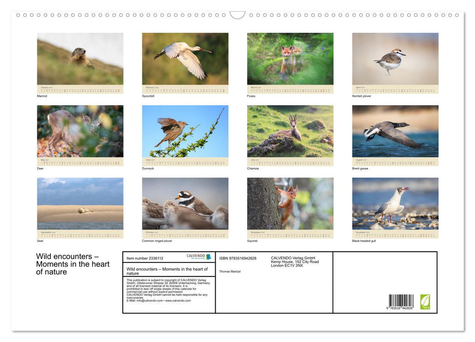 Wild encounters – Moments in the heart of nature (CALVENDO Monthly Calendar 2027)