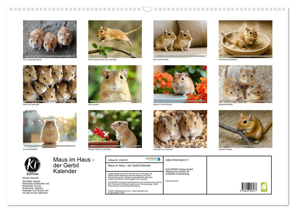 Maus im Haus - der Gerbil Kalender (CALVENDO Wandkalender 2027)