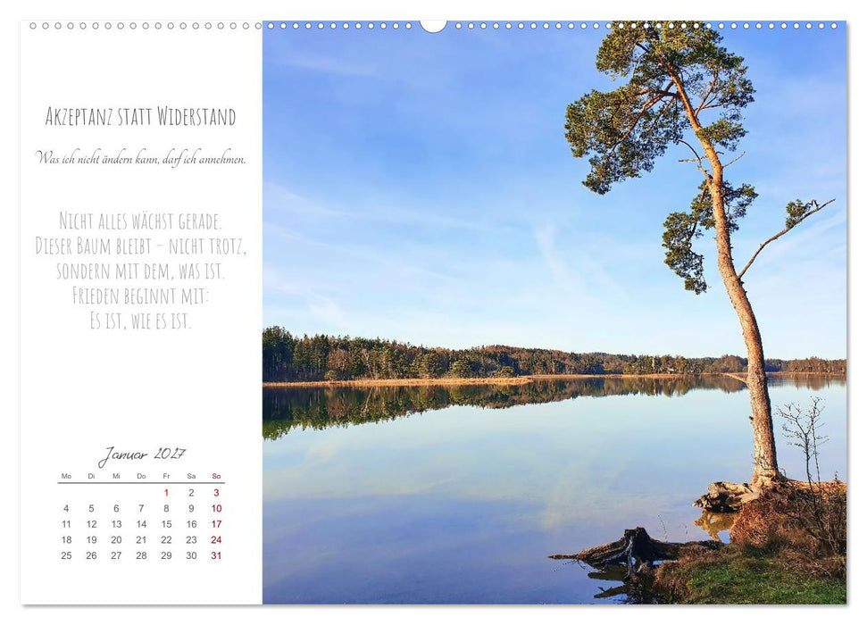 Was uns trägt, wenn alles wankt. Über das Wachsen an Krisen (CALVENDO Wandkalender 2027)