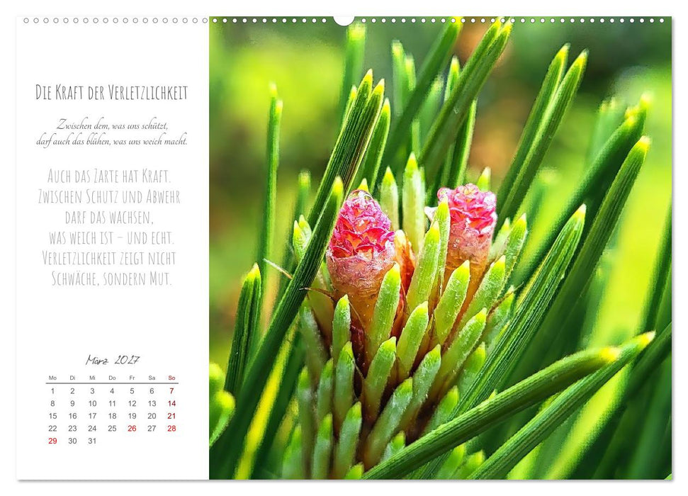 Was uns trägt, wenn alles wankt. Über das Wachsen an Krisen (CALVENDO Wandkalender 2027)