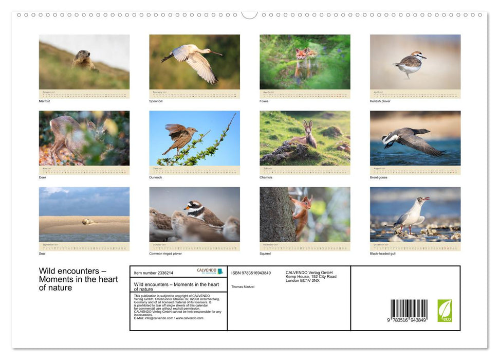 Wild encounters – Moments in the heart of nature (CALVENDO Premium-Calendar 2027)