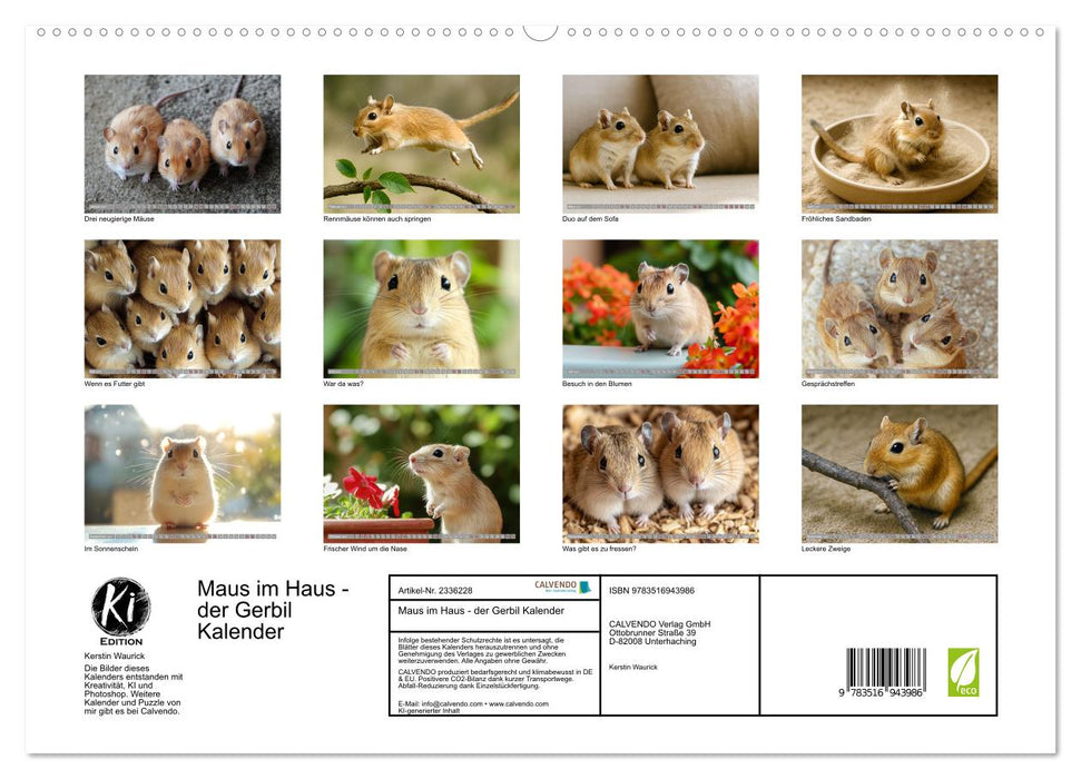 Maus im Haus - der Gerbil Kalender (CALVENDO Premium Wandkalender 2027)