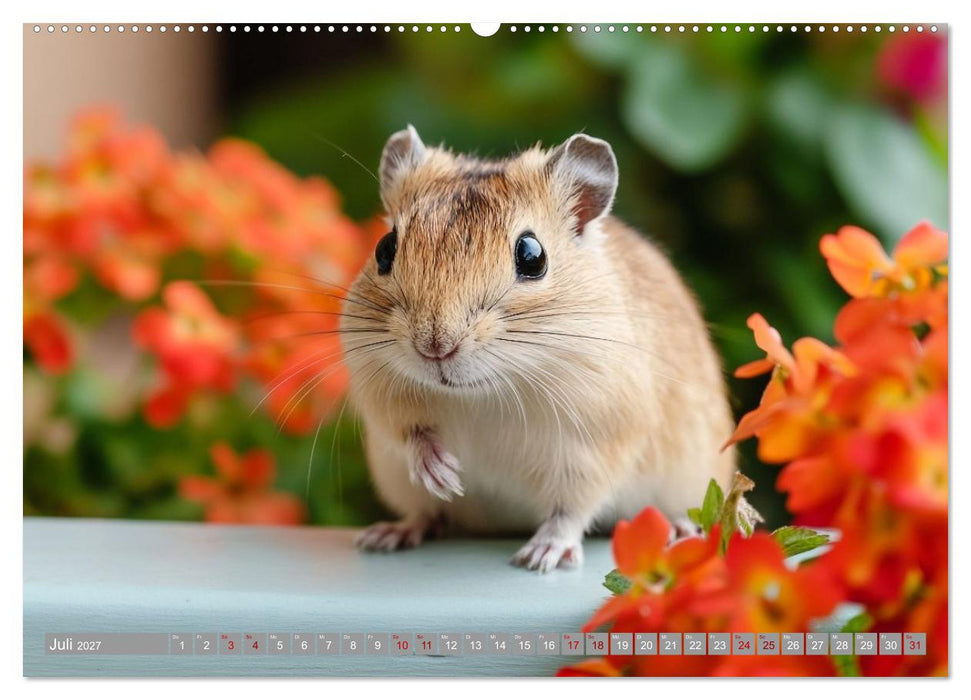 Maus im Haus - der Gerbil Kalender (CALVENDO Premium Wandkalender 2027)