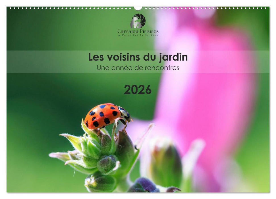 Les voisins du jardin - Une année de rencontres (CALVENDO Calendrier mensuel 2027)