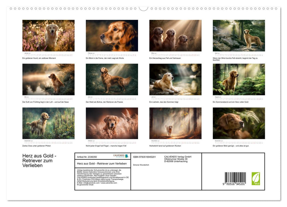 Herz aus Gold - Retriever zum Verlieben (CALVENDO Premium Wandkalender 2027)