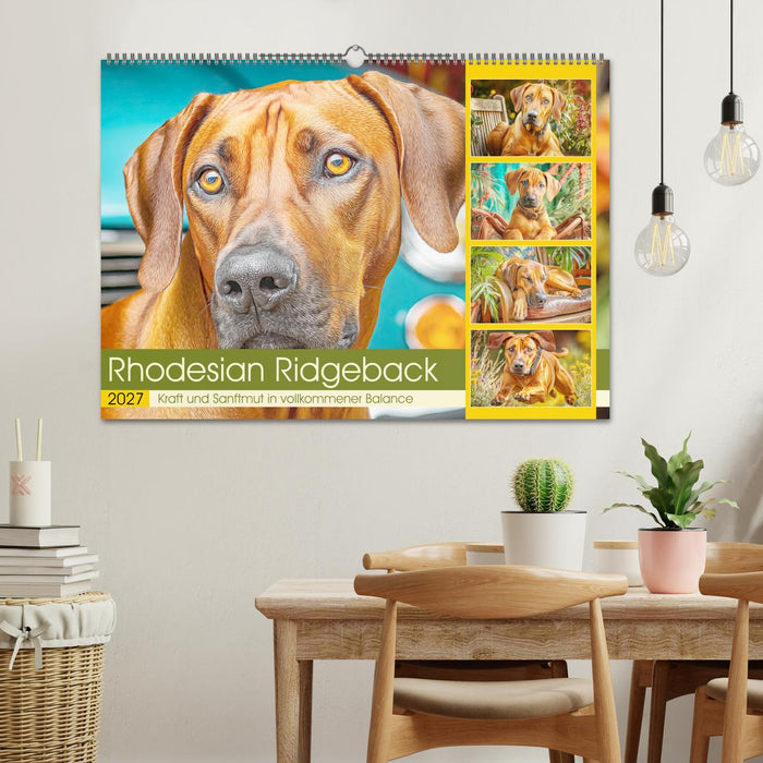 Rhodesian Ridgeback. Kraft und Sanftmut in vollkommener Balance (CALVENDO Wandkalender 2027)
