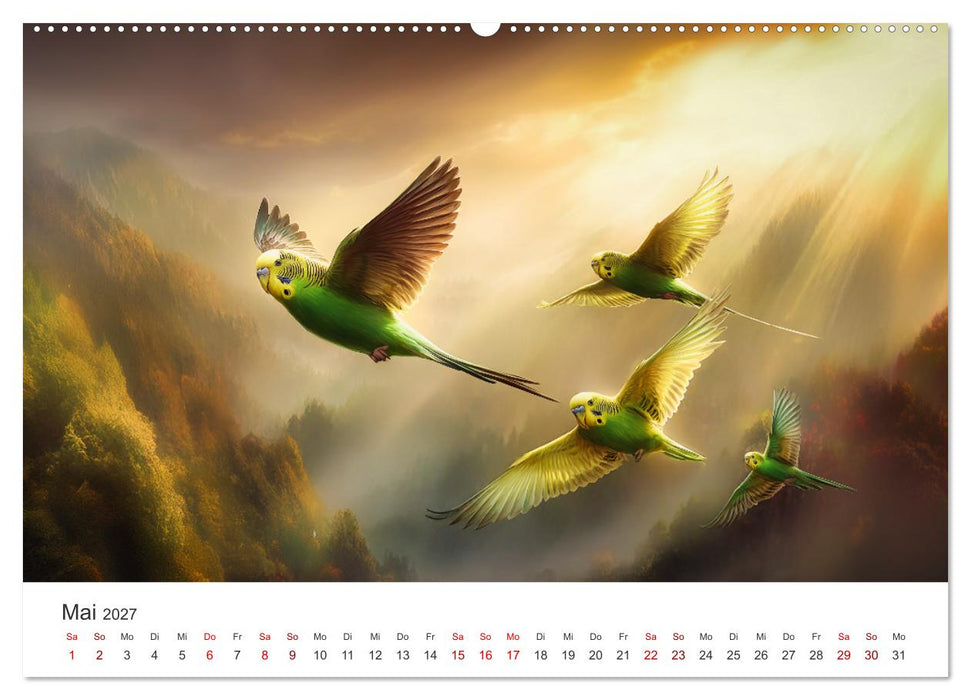 Zwitscherzeit - Ein Kalender voller Wellensittiche (CALVENDO Wandkalender 2027)