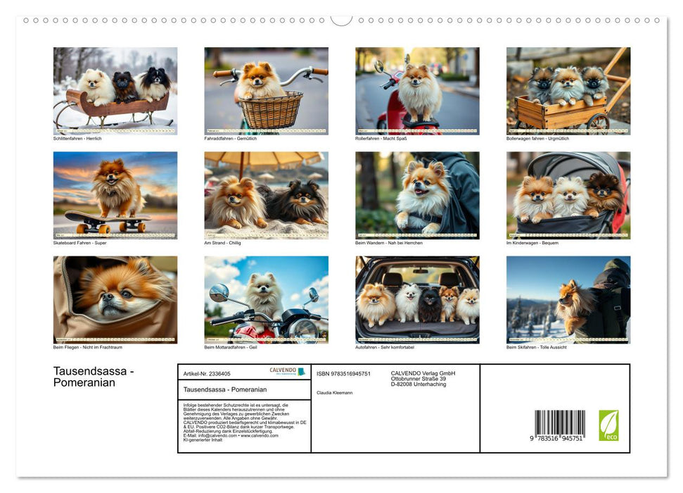 Tausendsassa - Pomeranian (CALVENDO Premium Wandkalender 2027)