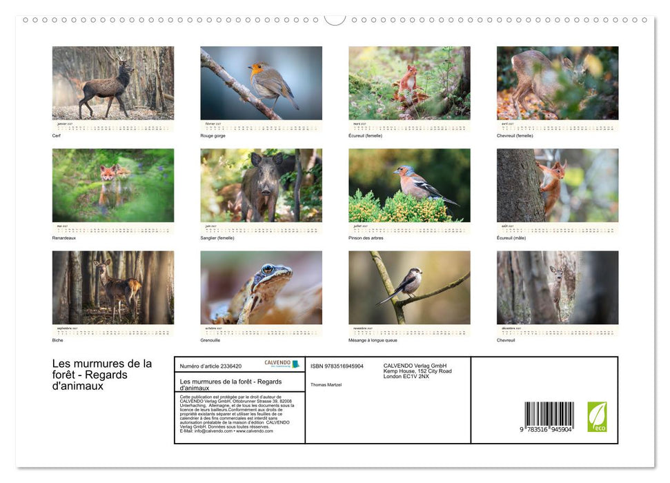 Les murmures de la forêt - Regards d'animaux (CALVENDO Calendrier supérieur 2027)