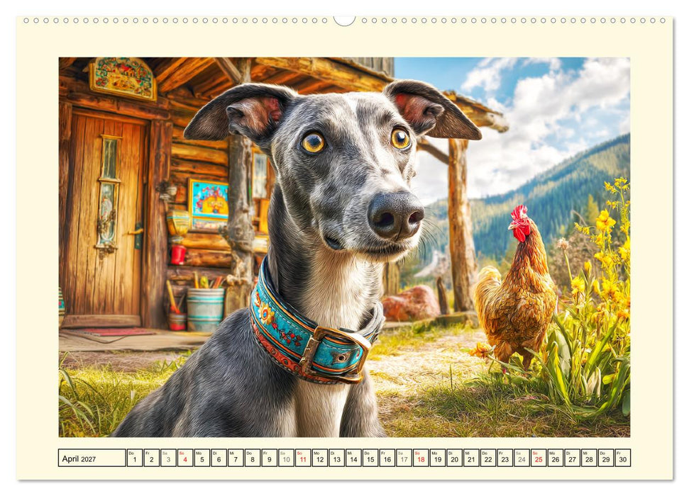 Whippet Wunder. Grazile Hunde mit sanfter Kraft und feiner Seele (CALVENDO Wandkalender 2027)