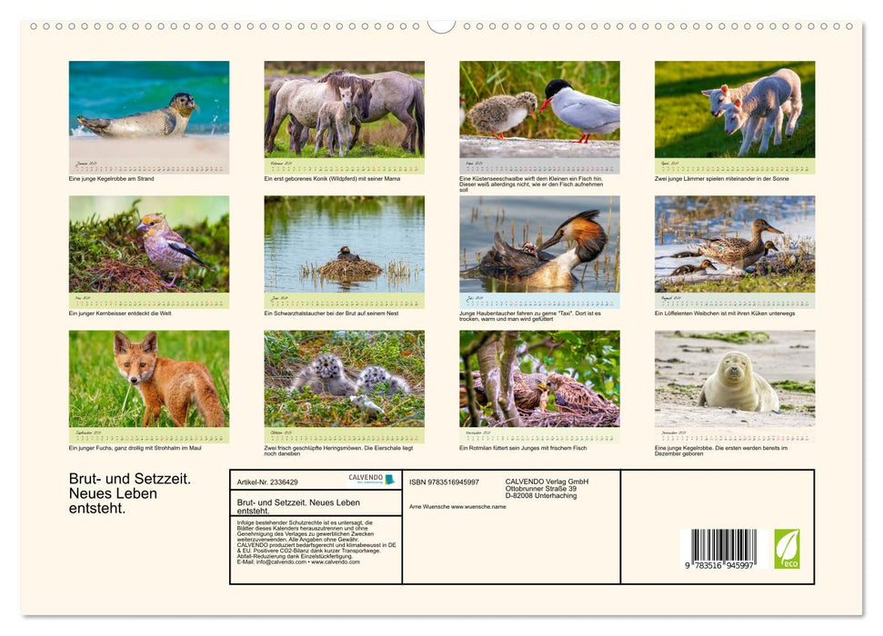 Brut- und Setzzeit. Neues Leben entsteht. (CALVENDO Premium Wandkalender 2027)