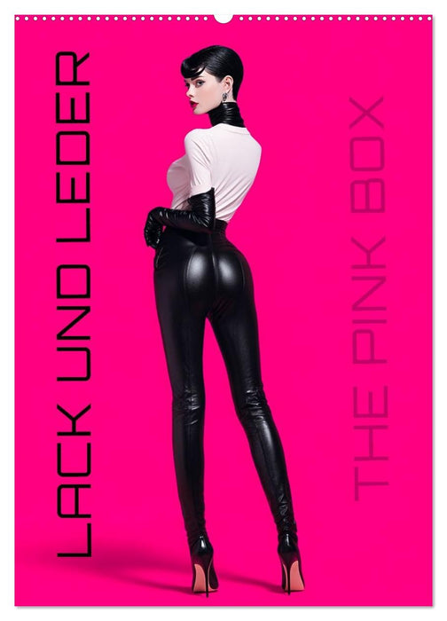 Lack und Leder - The Pink Box (CALVENDO Wandkalender 2027)
