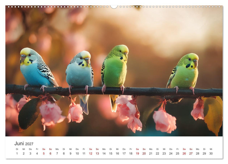 Zwitscherzeit - Ein Kalender voller Wellensittiche (CALVENDO Premium Wandkalender 2027)