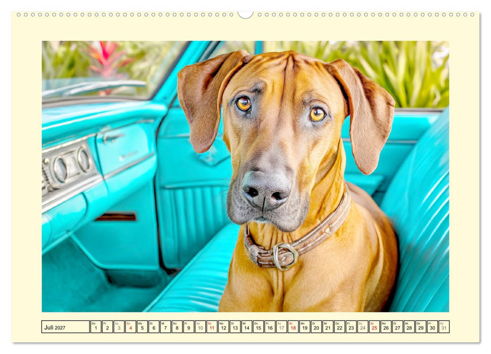 Rhodesian Ridgeback. Kraft und Sanftmut in vollkommener Balance (CALVENDO Premium Wandkalender 2027)