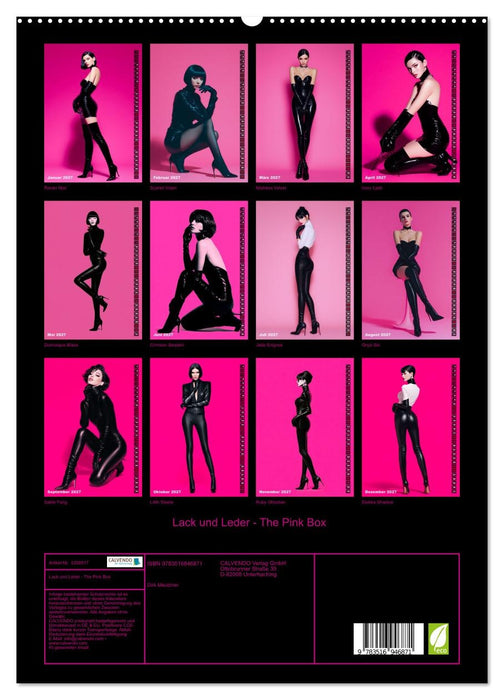 Lack und Leder - The Pink Box (CALVENDO Premium Wandkalender 2027)