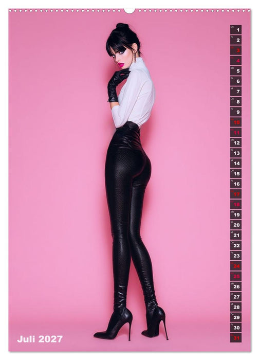 Lack und Leder - The Pink Box (CALVENDO Premium Wandkalender 2027)