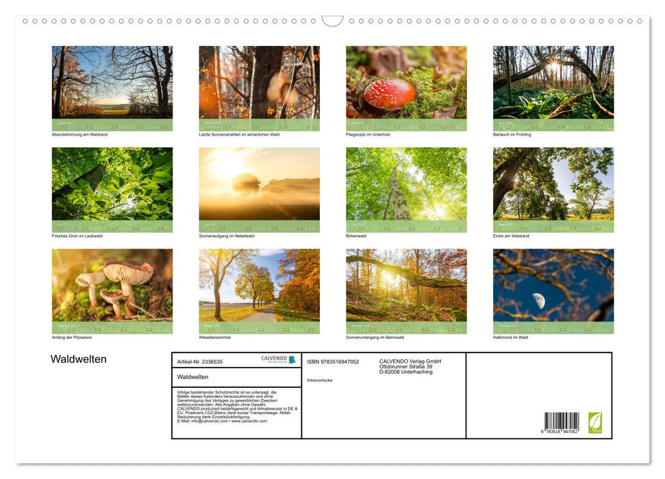 Waldwelten (CALVENDO Wandkalender 2027)