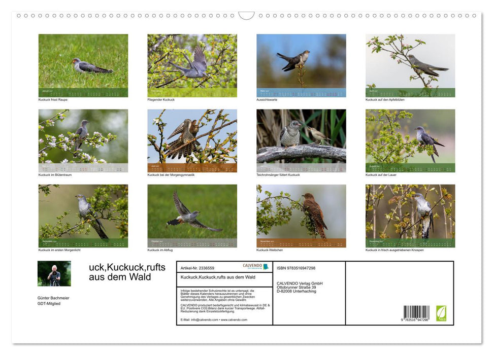 Kuckuck,Kuckuck,rufts aus dem Wald (CALVENDO Wandkalender 2027)