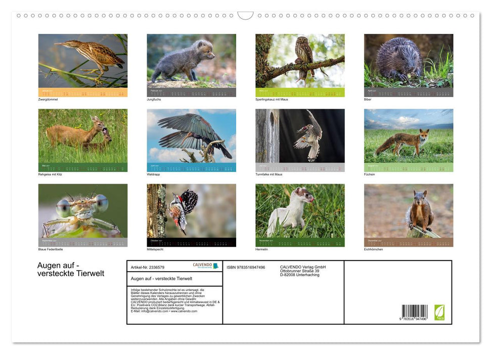 Augen auf - versteckte Tierwelt (CALVENDO Wandkalender 2027)