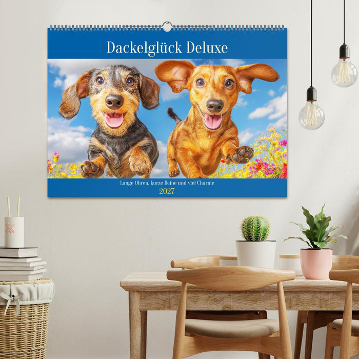 Dackelglück Deluxe. Lange Ohren, kurze Beine und viel Charme (CALVENDO Wandkalender 2027)