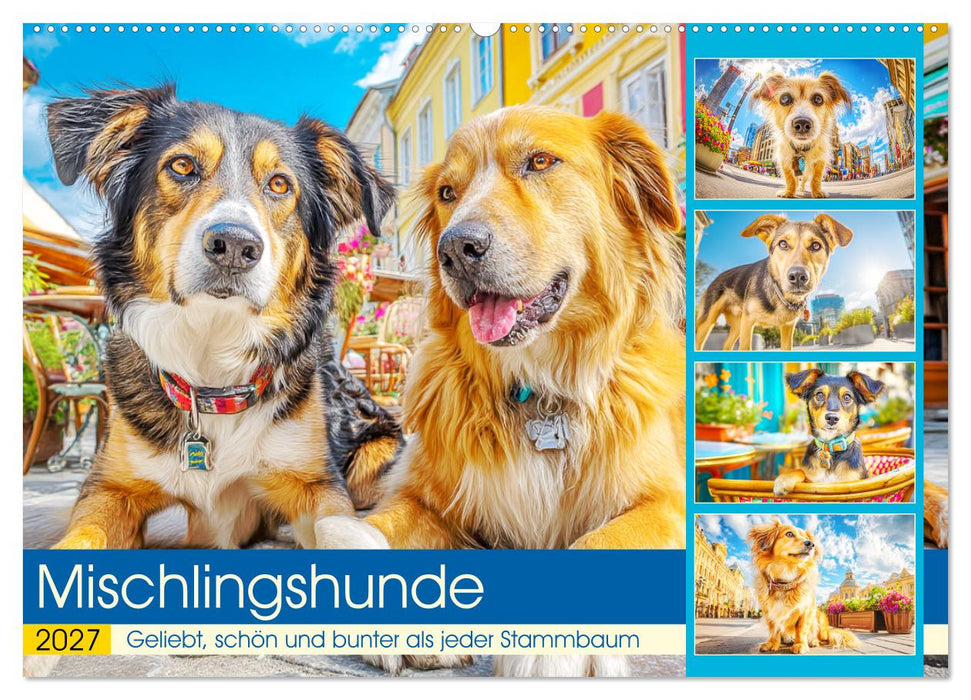 Mischlingshunde. Geliebt, schön und bunter als jeder Stammbaum (CALVENDO Wandkalender 2027)