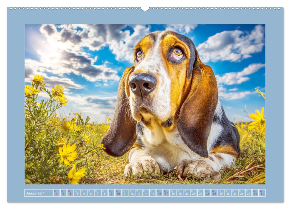 Schlappohren-Zauber. Fröhliche Bassets in bunten Momenten (CALVENDO Wandkalender 2027)