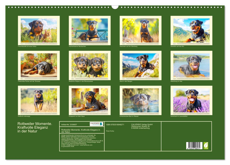 Rottweiler Momente. Kraftvolle Eleganz in der Natur (CALVENDO Wandkalender 2027)
