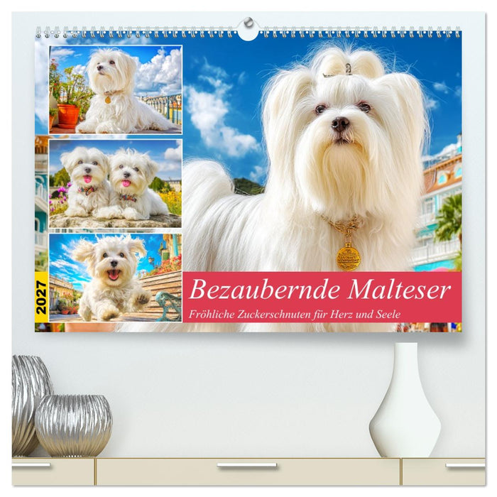 Bezaubernde Malteser. Fröhliche Zuckerschnuten für Herz und Seele (CALVENDO Premium Wandkalender 2027)