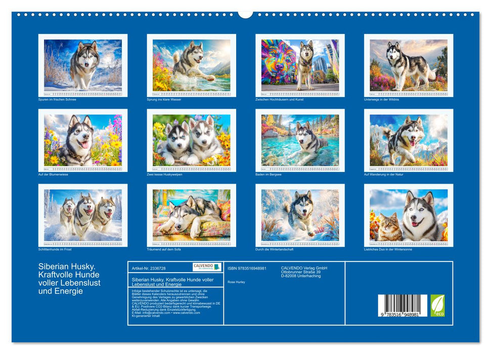 Siberian Husky. Kraftvolle Hunde voller Lebenslust und Energie (CALVENDO Premium Wandkalender 2027)