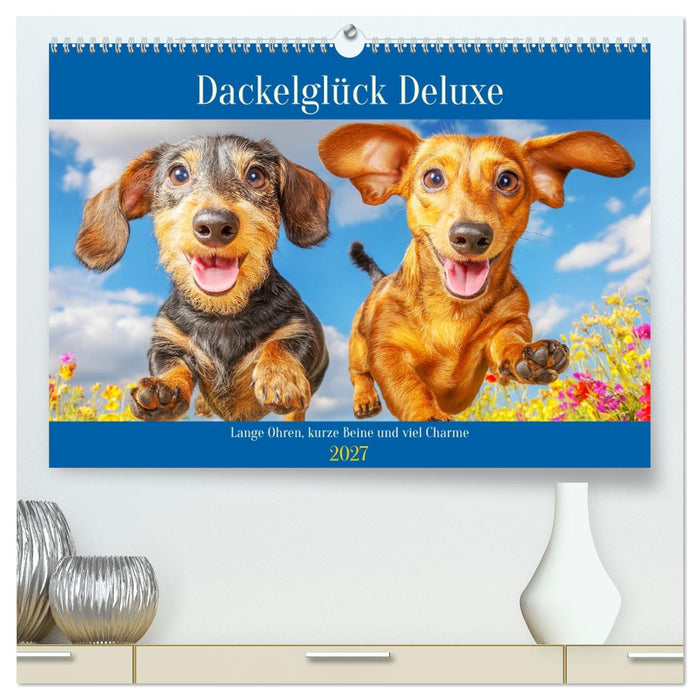 Dackelglück Deluxe. Lange Ohren, kurze Beine und viel Charme (CALVENDO Premium Wandkalender 2027)