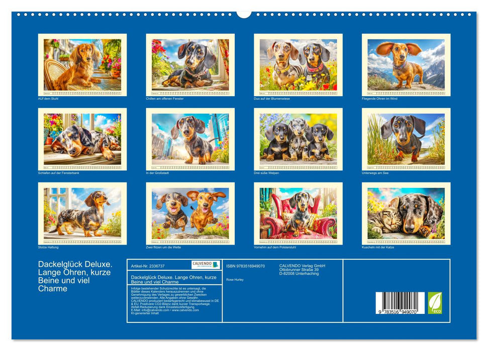 Dackelglück Deluxe. Lange Ohren, kurze Beine und viel Charme (CALVENDO Premium Wandkalender 2027)
