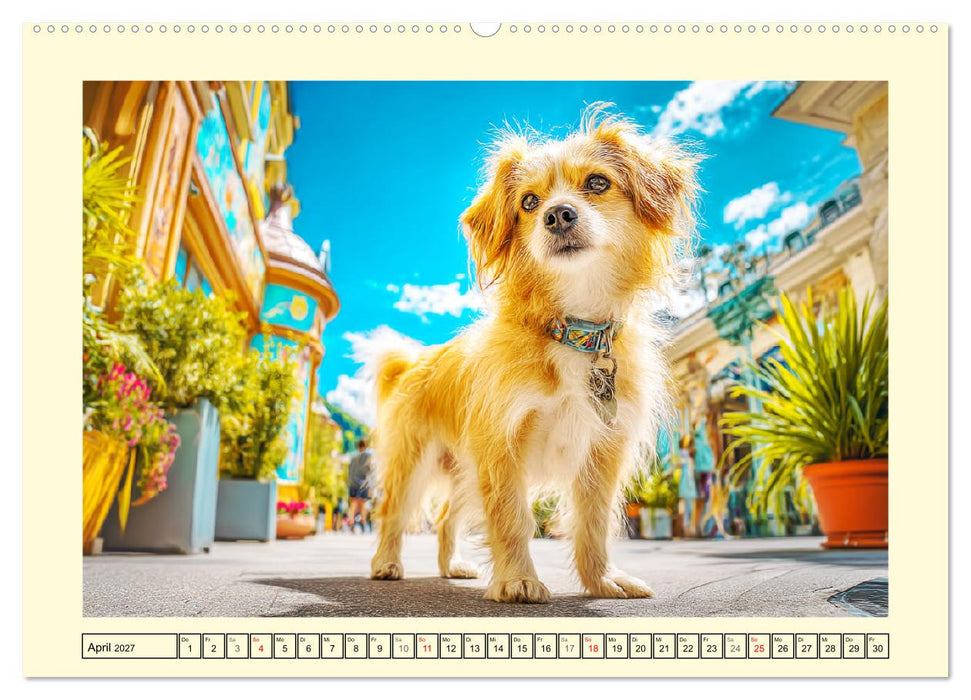 Mischlingshunde. Geliebt, schön und bunter als jeder Stammbaum (CALVENDO Premium Wandkalender 2027)