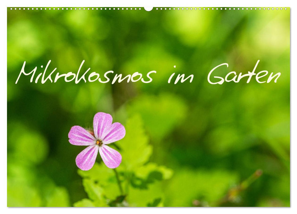Mikrokosmos im Garten (CALVENDO Wandkalender 2027)