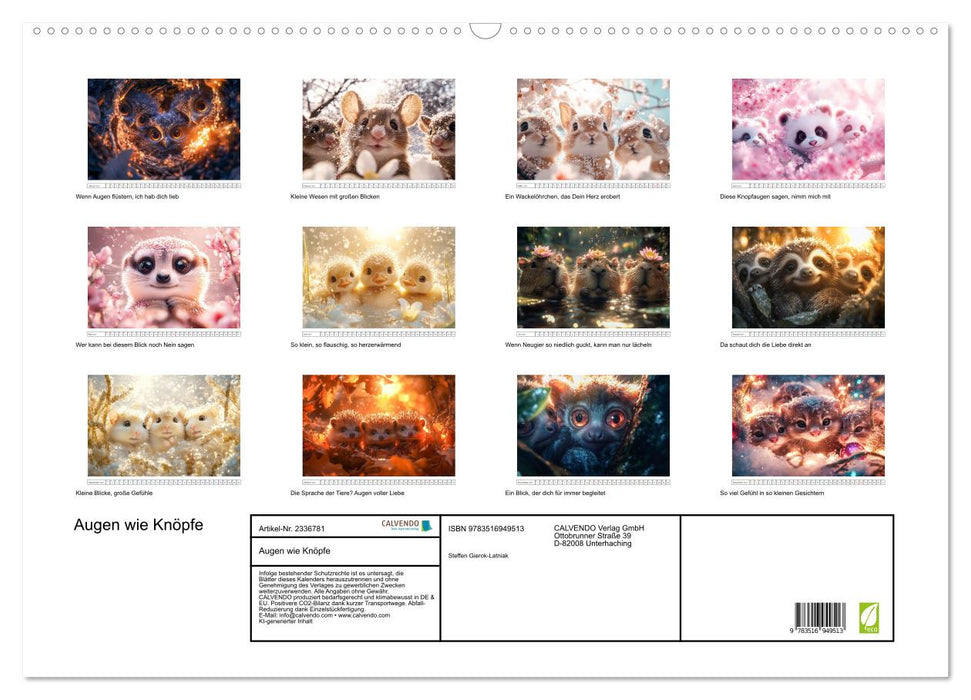 Augen wie Knöpfe (CALVENDO Wandkalender 2027)